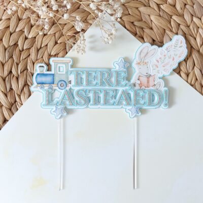 Koogikaunistus Tere, lasteaed! Täheke teeb